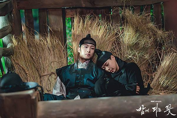 夜晚盛開的花 07.JPG 夜晚盛開的花 07.JPG