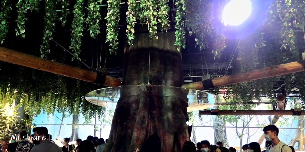 xpark (13).jpg xpark (13).jpg