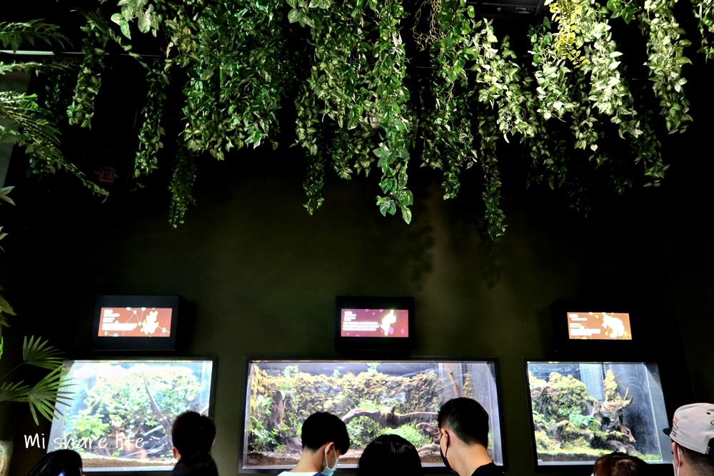 xpark (15).jpg xpark (15).jpg