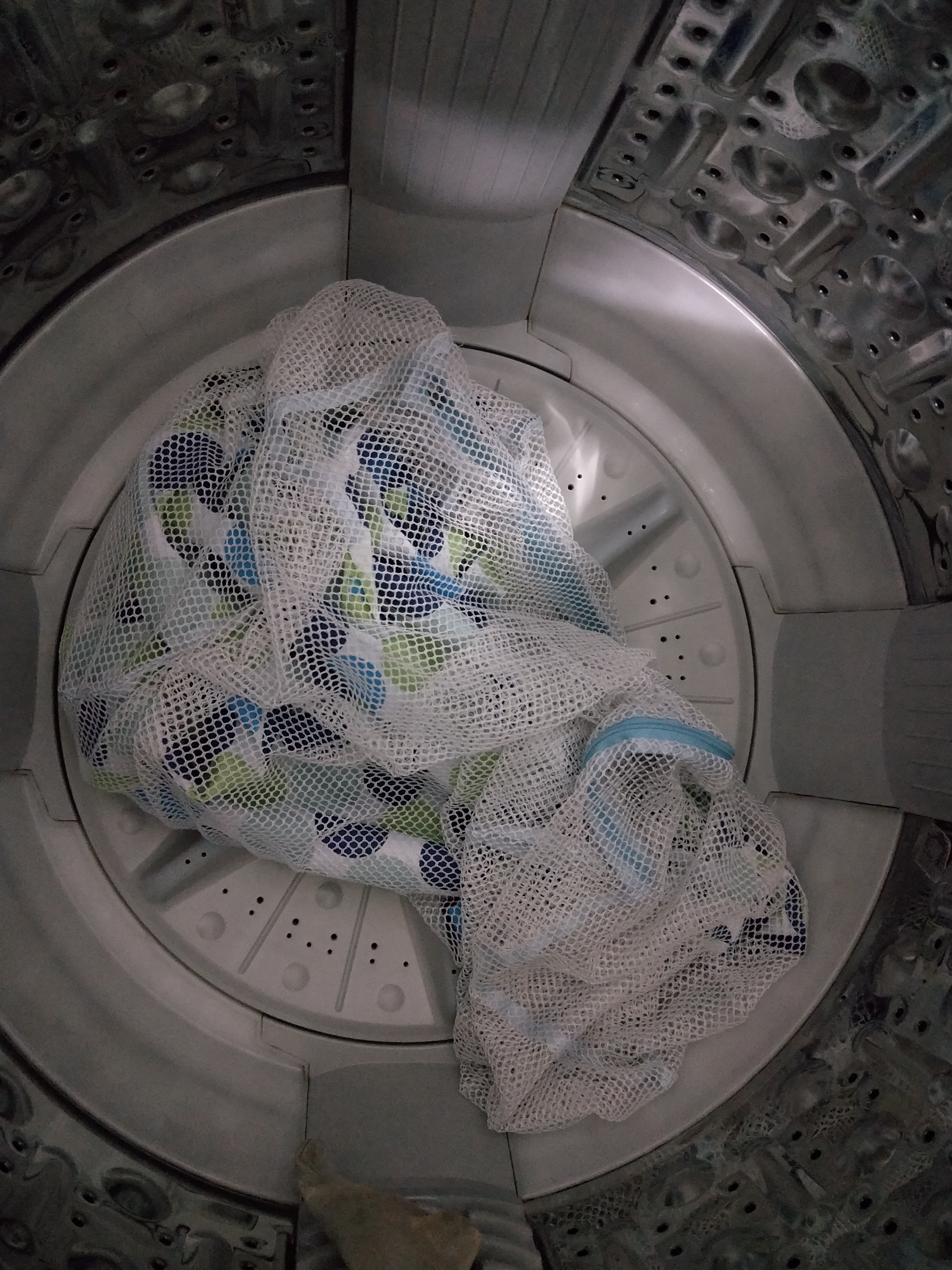 IMG20181006153838.jpg IMG20181006153838.jpg