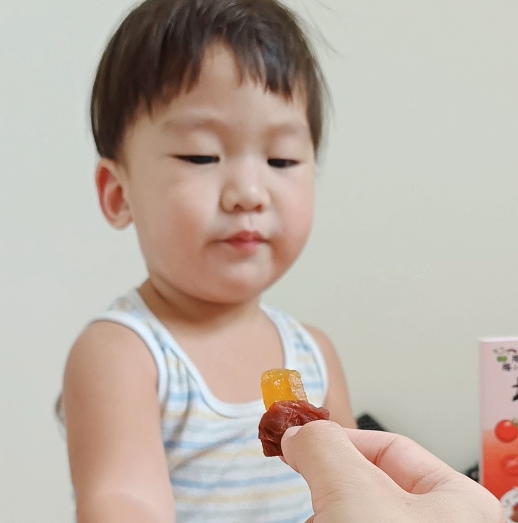 我家孩子超愛的零嘴『愛呷囡仔』超好吃梅餅--每到員林必買的伴 我家孩子超愛的零嘴『愛呷囡仔』超好吃梅餅--每到員林必買的伴