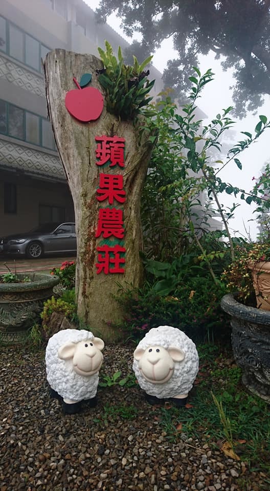 39557963_1633469593429627_5907189966131167232_n (1)