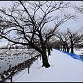 DSC_0171.JPG