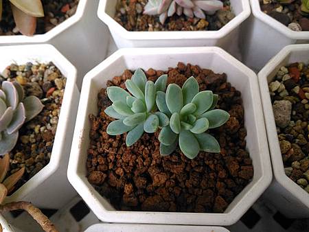 立田的大長腿人生|本來很美,一熱就拉高了比例 立田的大長腿人生|本來很美,一熱就拉高了比例