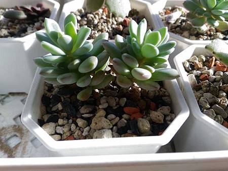 立田的大長腿人生|本來很美,一熱就拉高了比例 立田的大長腿人生|本來很美,一熱就拉高了比例