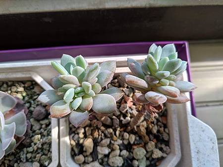 立田的大長腿人生｜本來很美，一熱就拉高了比例