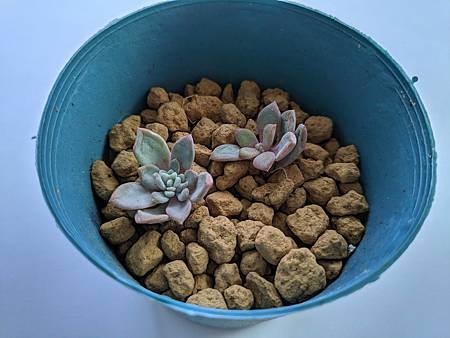 立田的大長腿人生｜本來很美，一熱就拉高了比例