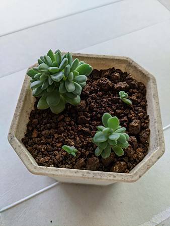 立田的大長腿人生｜本來很美，一熱就拉高了比例