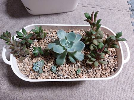 立田的大長腿人生｜本來很美，一熱就拉高了比例