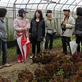 20130331輝要無毒菜園 (25).JPG