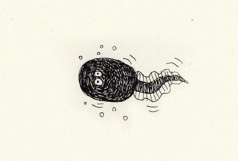魚式00.jpg 魚式00.jpg