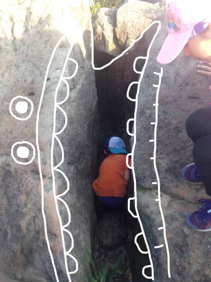 IMG_4896.jpg IMG_4896.jpg