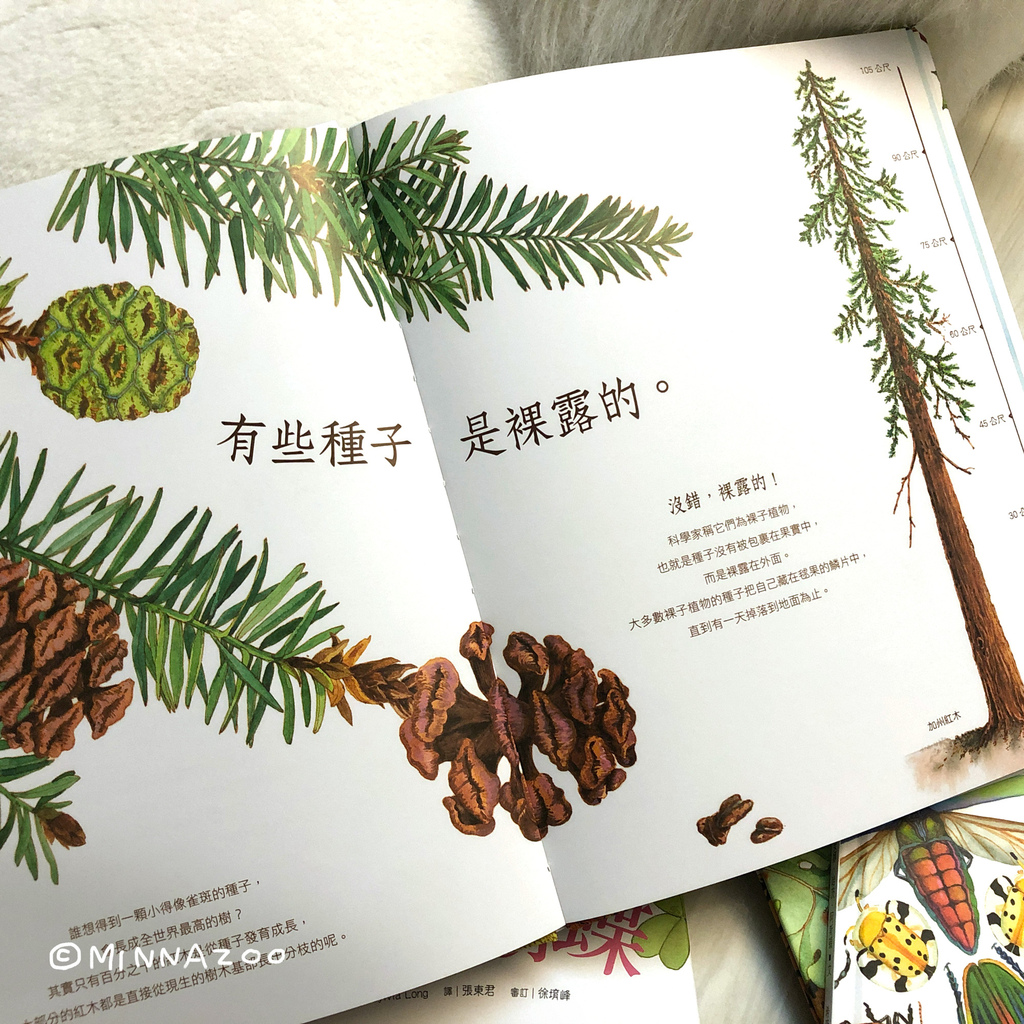 描繪大自然的阿嬤-Sylvia Long