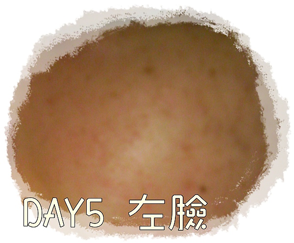 DAY5左.JPG