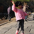 IMG_1586_調整大小.JPG