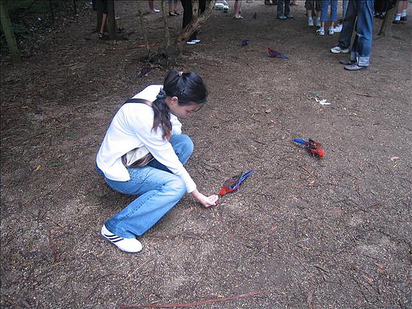 來去餵鳥囉