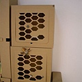 蜂巢造型置物紙箱