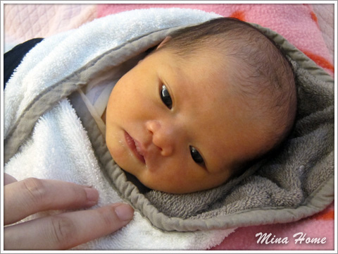 20150917_02.jpg 20150917_02.jpg