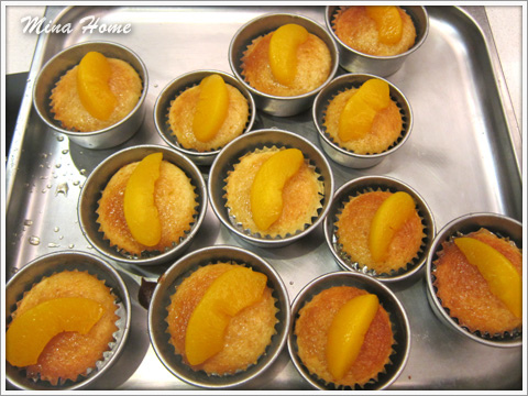 20160216_06.jpg 20160216_06.jpg