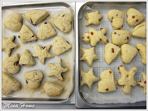 20160311_24.jpg 20160311_24.jpg