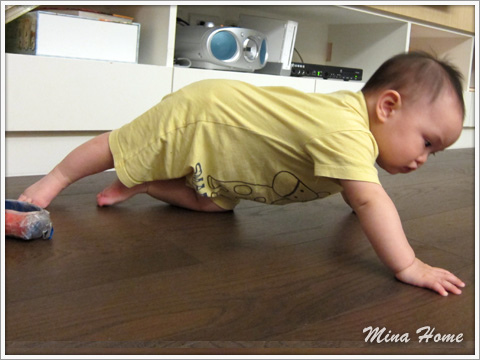 20160519_45.jpg 20160519_45.jpg