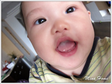 20160519_53.jpg 20160519_53.jpg