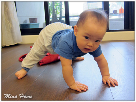 20160519_72.jpg 20160519_72.jpg