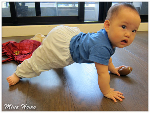 20160519_71.jpg 20160519_71.jpg