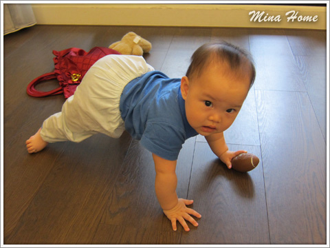 20160519_70.jpg 20160519_70.jpg