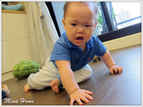 20160519_73.jpg 20160519_73.jpg