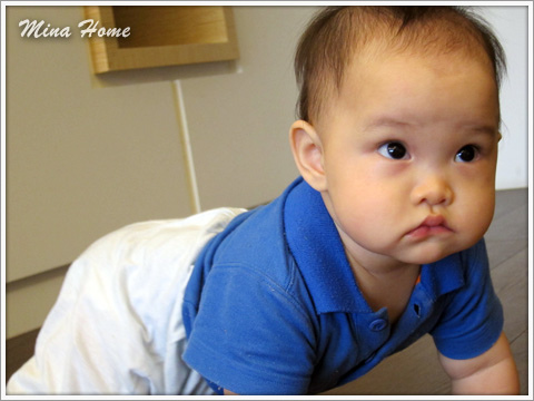 20160519_80.jpg 20160519_80.jpg