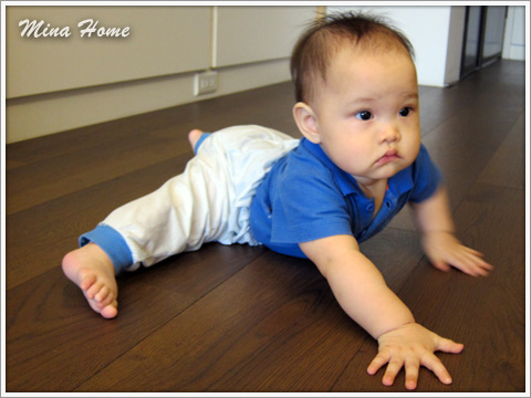 20160519_81.jpg 20160519_81.jpg