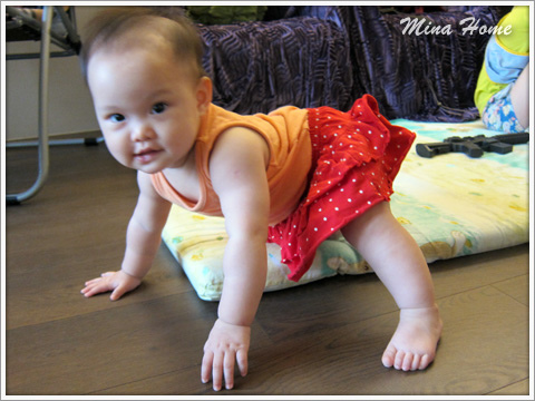 20160623_12.jpg 20160623_12.jpg