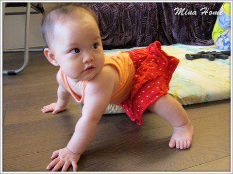 20160623_13.jpg 20160623_13.jpg