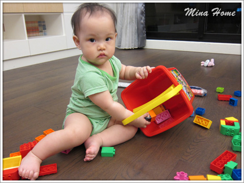 20160623_41.jpg 20160623_41.jpg