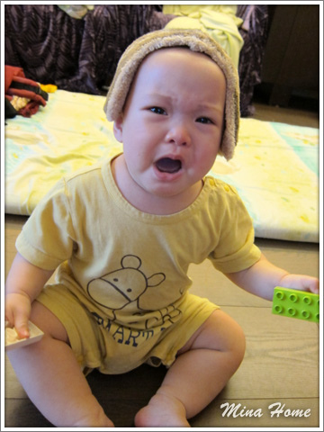 20160623_50.jpg 20160623_50.jpg