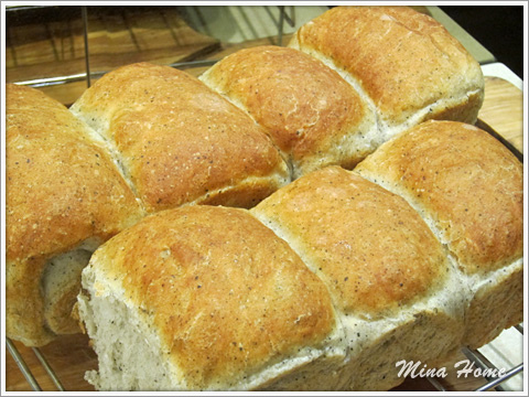 20170115_08.jpg 20170115_08.jpg