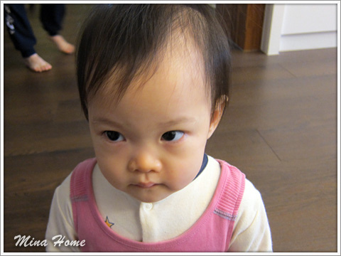 20170211_09.jpg 20170211_09.jpg