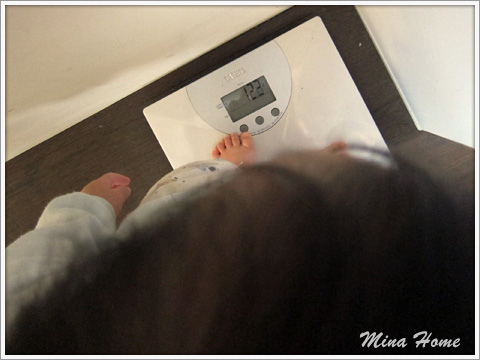 20170211_18.jpg 20170211_18.jpg