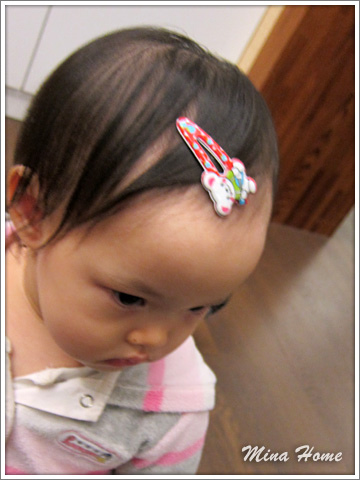 20170211_46.jpg 20170211_46.jpg