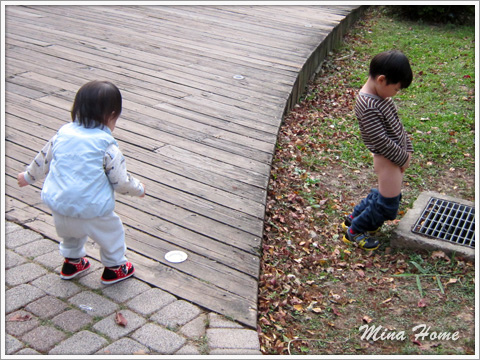 20170224_29.jpg 20170224_29.jpg