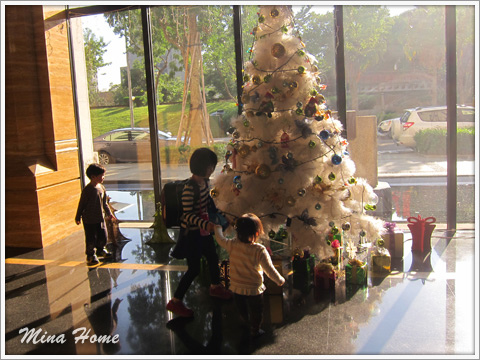 20170224_74.jpg 20170224_74.jpg