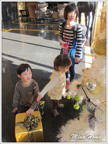 20170224_76.jpg 20170224_76.jpg