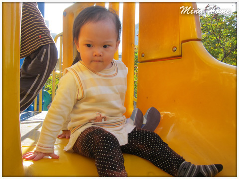 20170224_73.jpg 20170224_73.jpg