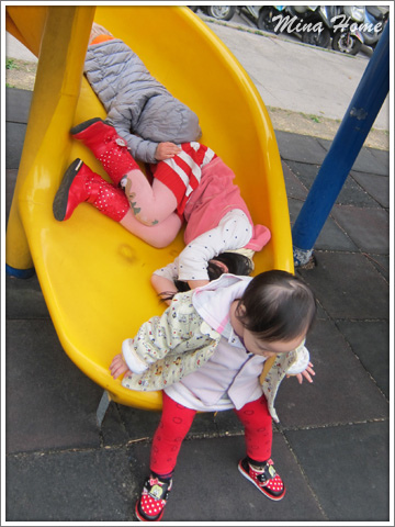 20170411_28.jpg 20170411_28.jpg