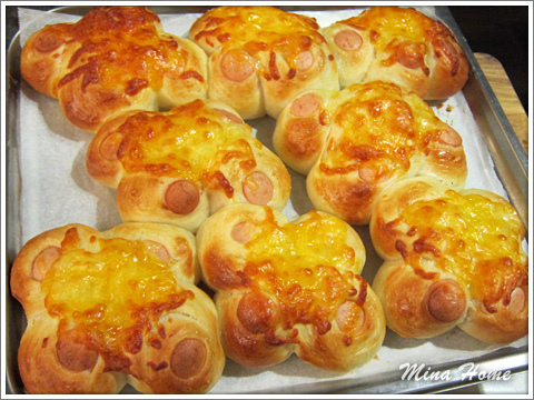 20170417_15.jpg 20170417_15.jpg