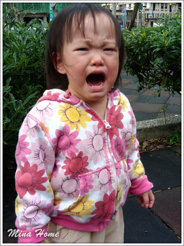 20170520_14.jpg 20170520_14.jpg