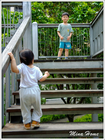 20170620_29.jpg 20170620_29.jpg