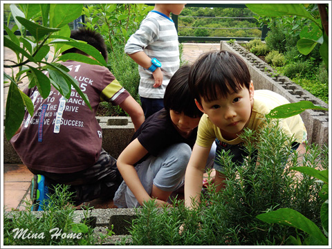 20170712_21.jpg 20170712_21.jpg