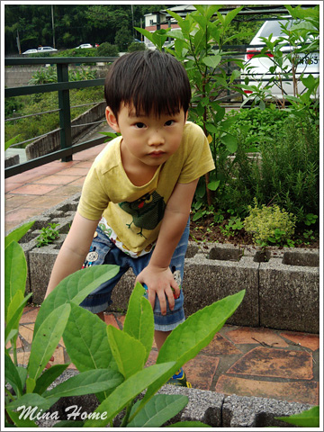 20170712_23.jpg 20170712_23.jpg